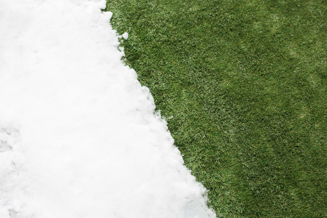 White snow meets green grass in Sarasota